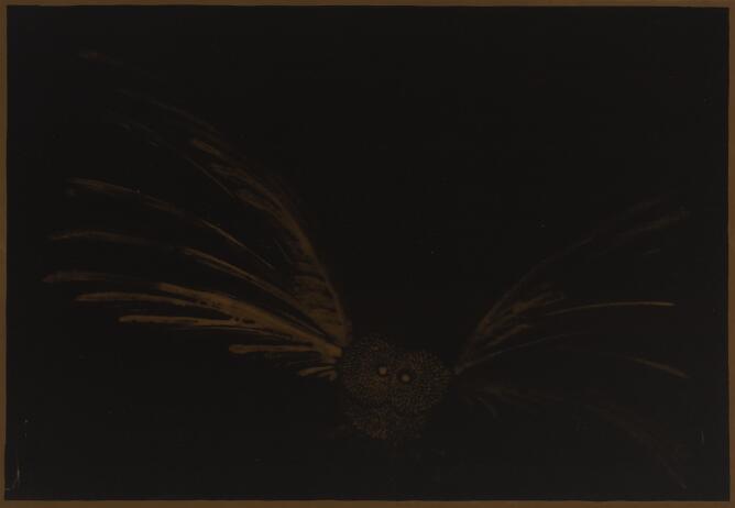 An abstract mostly black print of a faint brown owl flying towards the viewer