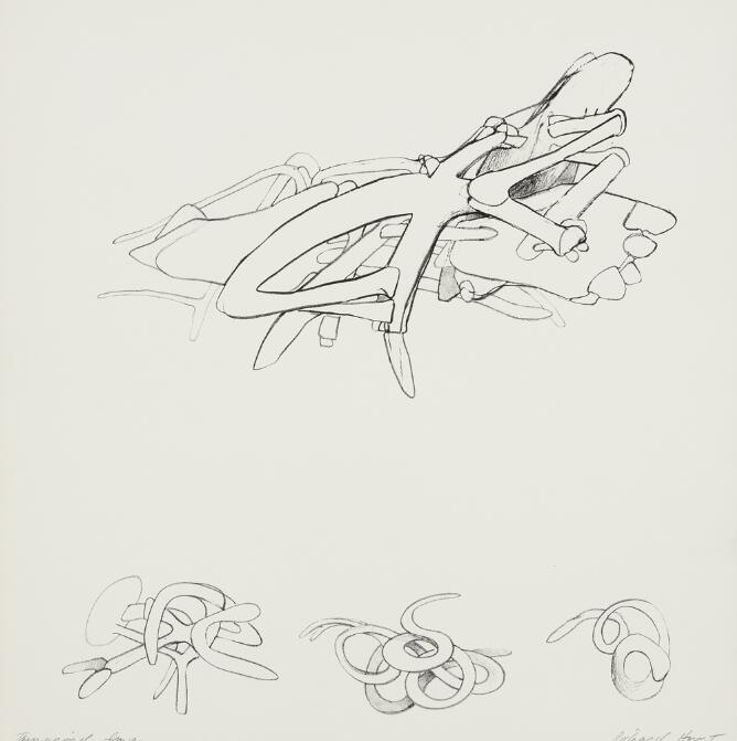 A black and white abstract print showing a cluster of outlined bone-line forms above a row of three outlined forms that connect, twist and curl