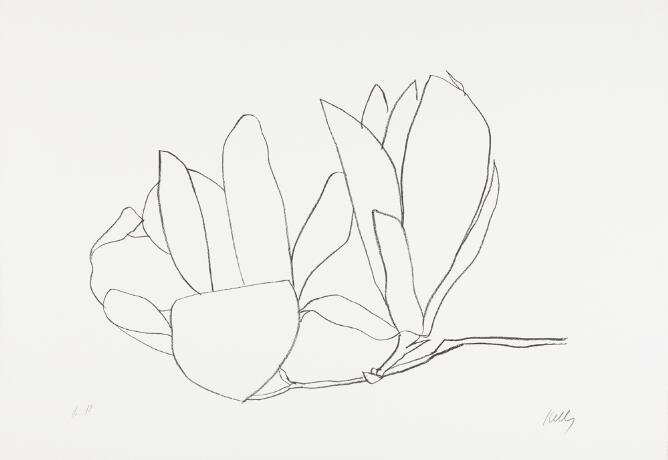 A black and white abstract print of two flowers with long petals side by side, one partially opened, the other one closed, connected to a stem