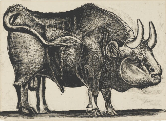 A black and white detailed print of a standing bull facing the viewer's right