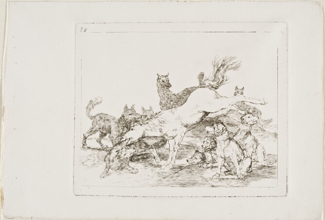 A black and white print of a horse kicking out with both hind legs towards a group of surrounding dogs and wolves