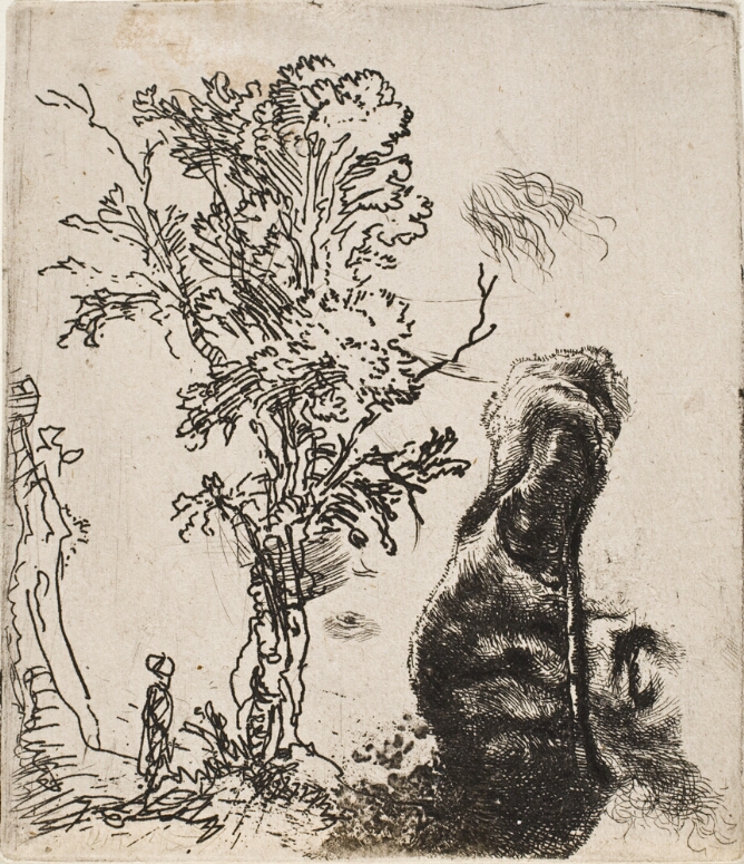 A black and white print of a tree and a tiny figure next to a vertically positioned detailed rendering of a velvet cap and an eye