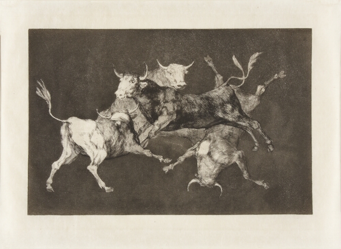 A black and white print of four bulls tumbling in the air