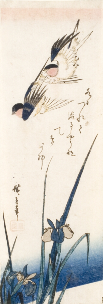 A print of two birds flying over iris flowers with pointy leaves