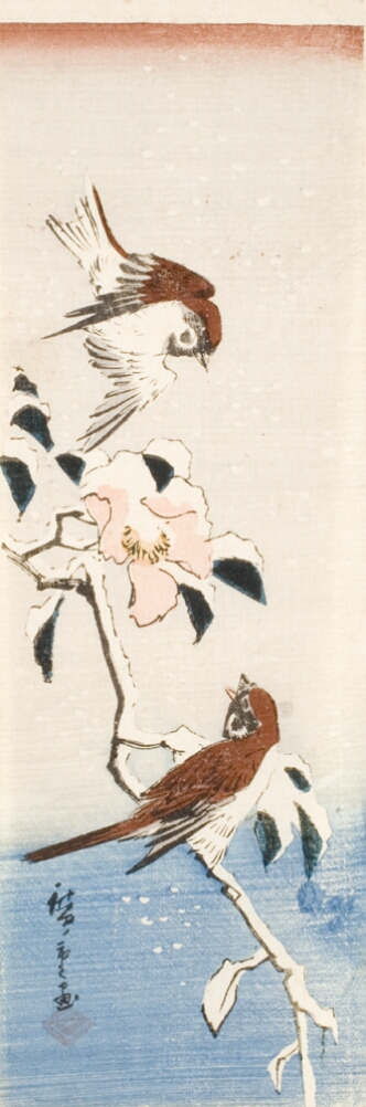 A color print of a bird perched on a snow-covered camelia branch, while another bird hovers above