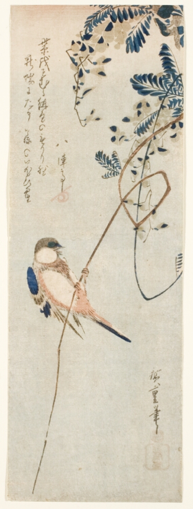 A color print of a bird perched on a curling vine with wisteria flowers hanging in the top right corner