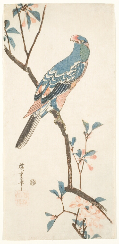 A color print of a bird with its head turned to the side, perched on branch with pink blooms