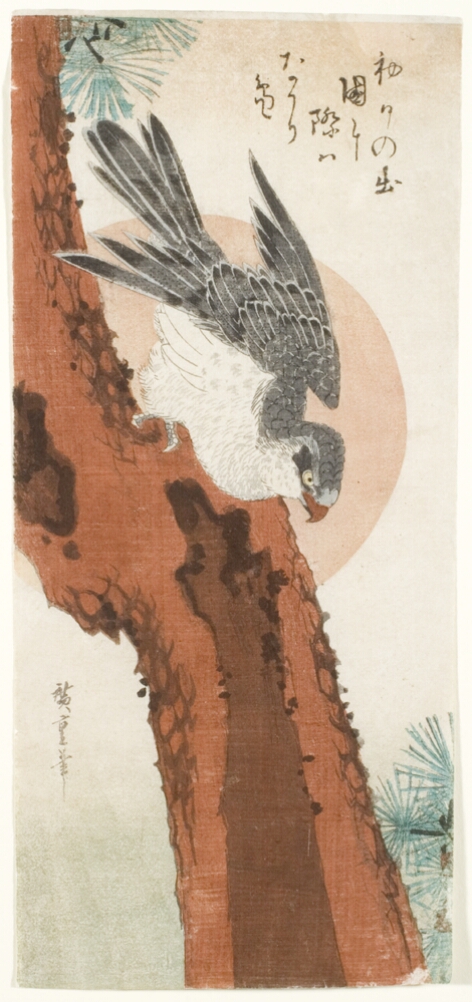 A color print of a falcon perched on the trunk of a pine tree gazing down, set against a backdrop of a sun