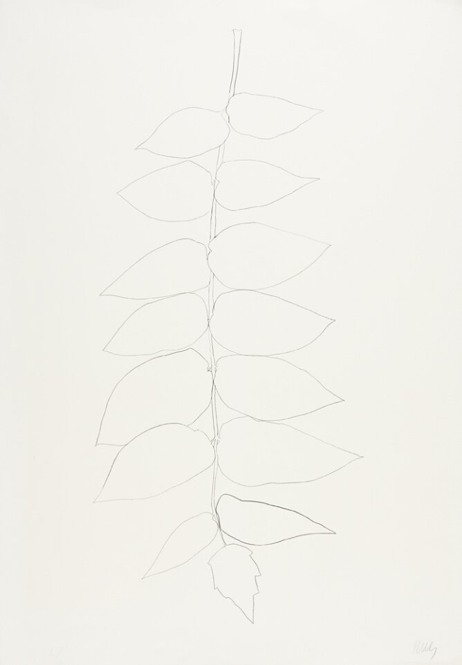 A black and white abstract print of pairs of leaves on each side of a vertical stem, using minimal lines