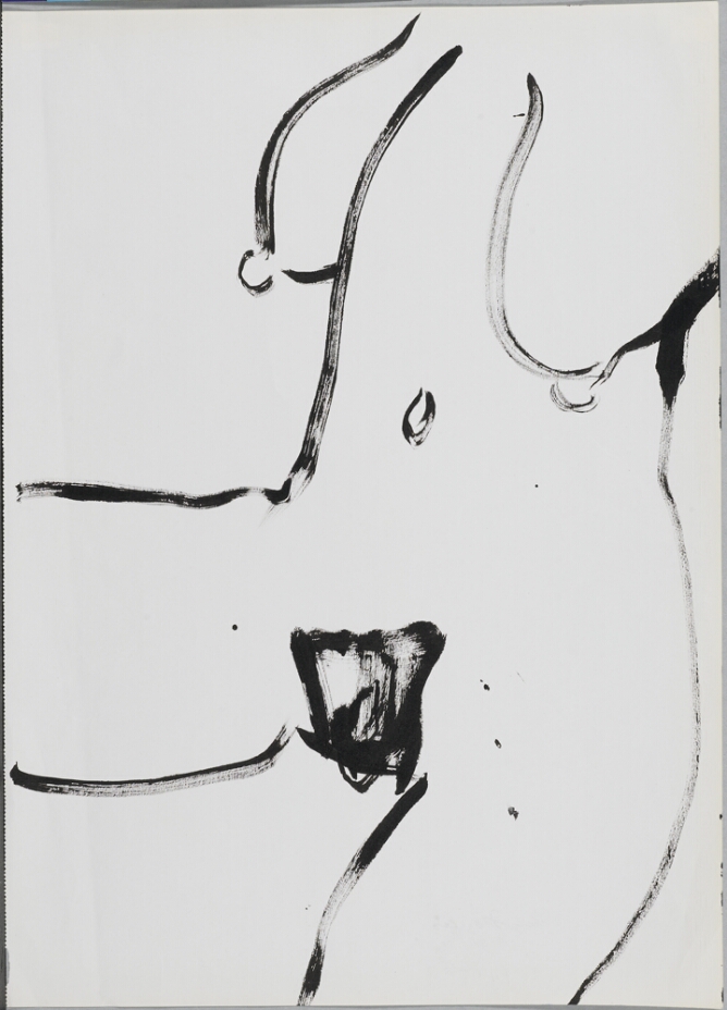 A gestural black and white, abstract drawing of a nude female torso and open thighs
