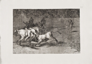 Tauromaquia: Mariano Ceballos, Alias the Indian, Kills the Bull from His Horse (Mariano Ceballos, Alias el Indio, Mata el Toro Desde su Caballo)