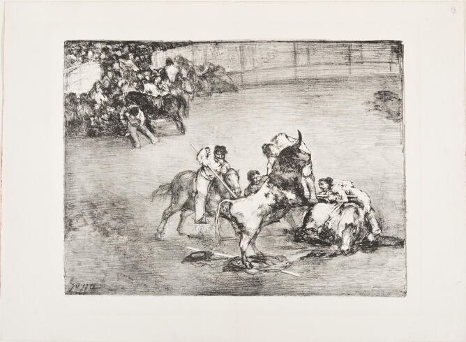 A black and white print of a man caught on a rearing bull's horns, as figures on horseback spear the bull, and a crowd rushes into the arena to the viewer's left