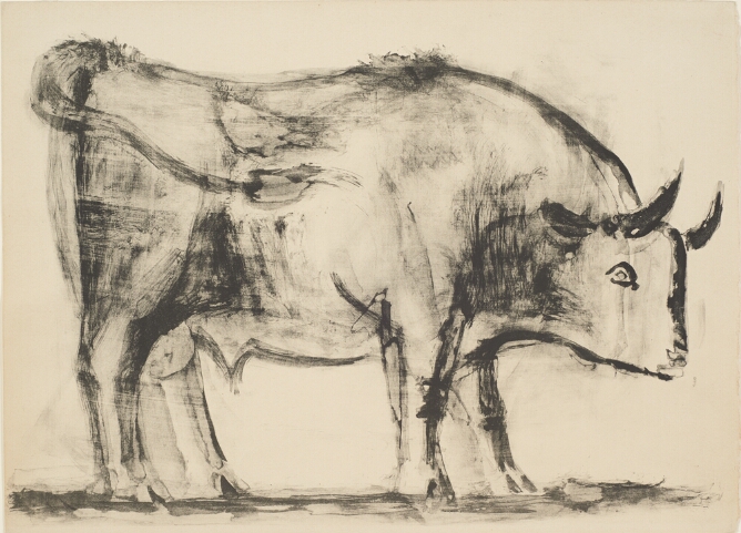 A black and white print of a standing bull facing the viewer's right