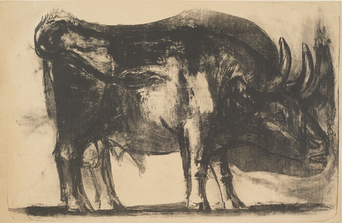 A black and white print of a standing bull with its head in shadow, facing the viewer's right