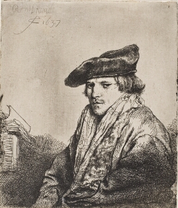 Young Man in a Velvet Cap (Petrus Sylvius?)