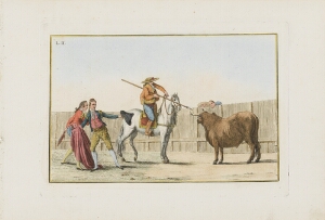 Collection of Principal Moves in a Bullfight: Awaiting the Halted Bull