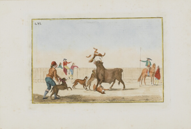 A color print of a dog upside down in the air above a standing bull's horns, with other dogs to the side and under the bull. To the viewer's left, a standing figure holds another dog back
