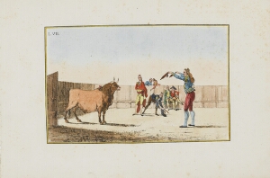 Collection of Principal Moves in a Bullfight: Provoking the Bull with Banderillas