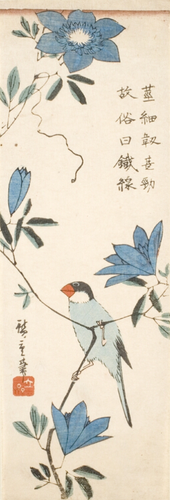 A color print of a bird perched on a thin branch with blue clematis flowers in different stages of bloom