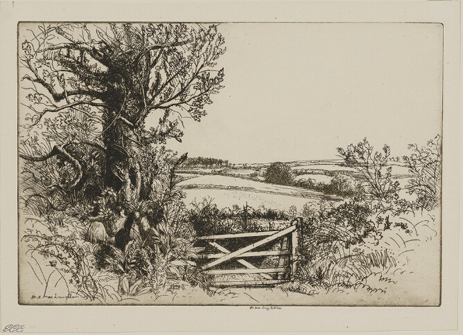 A black and white print of an open field behind a small gate next to a tree to the viewer's left