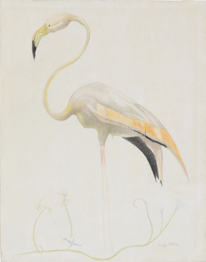 A drawing of a crane with an exaggerated slender and serpentine neck, standing on a vine