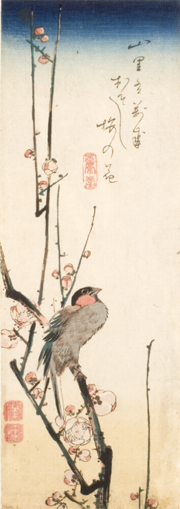 A color print of a bird perched on a plum blossom branch