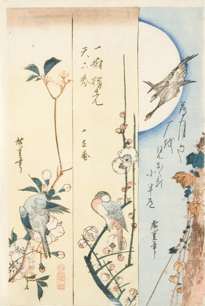 (Color print on left) A bird seen from the back perched on a branch with plum blossoms (Color print in center) A profile view of a bird perched on a branch with plum blossoms (Color print on right) Two birds flying down by ivy set against a backdrop of a full moon