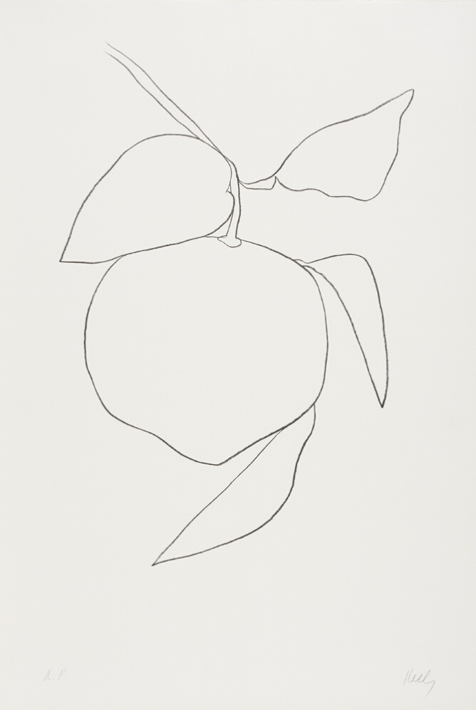A black and white abstract print of a grapefruit hanging from a stem with leaves, using minimal lines