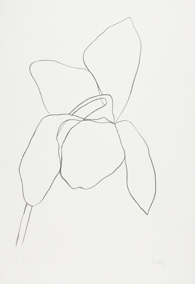 A black and white abstract print of a drooping flower with three petals pointing down and two pointing up, using minimal lines