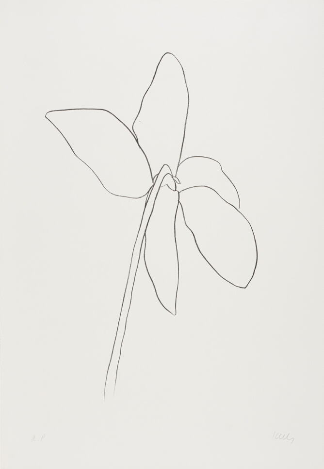 A black and white abstract print of a drooping flower with three petals pointing down and two pointing up, using minimal lines