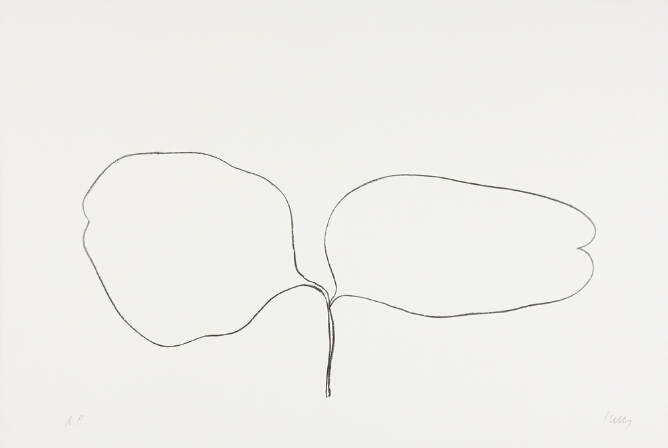 A black and white abstract print of two oval-shaped leaves branching from a stem, using minimal lines