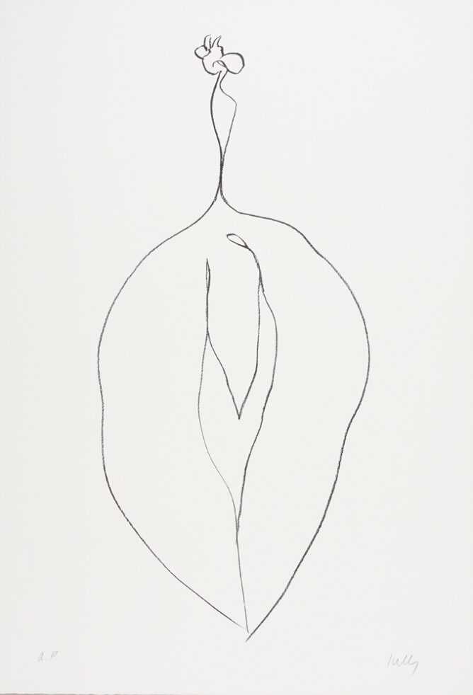 A black and white abstract print of a seaweed with a large leaf-shaped body and a smaller curvy spindle-shaped top