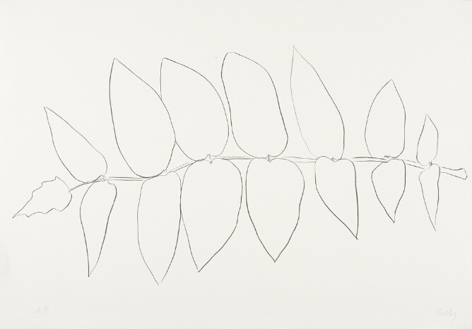A black and white abstract print of pairs of leaves on each side of a horizontal stem, using minimal lines