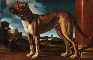 The Aldrovandi Dog