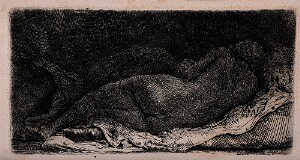 Reclining Female Nude