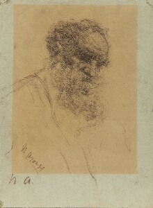 A Portrait of Count Leo Tolstoy