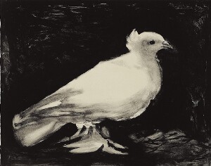 The Dove