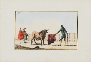 Collection of Principal Moves in a Bullfight: Presenting the Muleta to the Bull