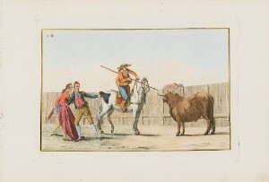 Collection of Principal Moves in a Bullfight: Awaiting the Halted Bull