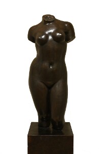 Torso of Venus