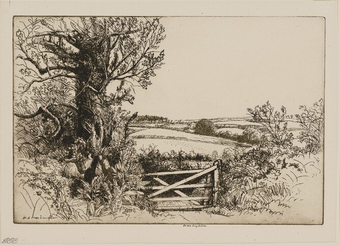 A black and white print of an open field behind a small gate next to a tree to the viewer's left