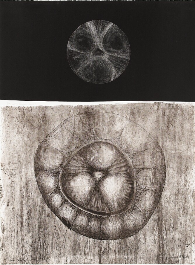 Homage to Susan Jonas