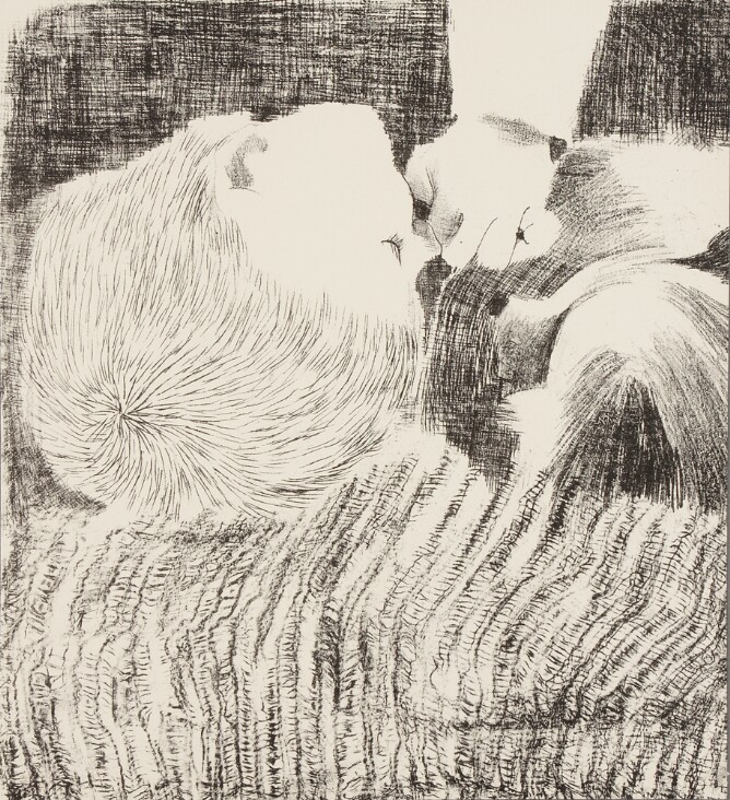 A black and white print of a sleeping young boy's head next to a dog's head, shown from overhead