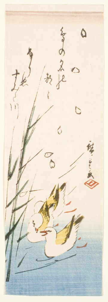Oyster-catchers, Reeds and Cherry Blossom Petals