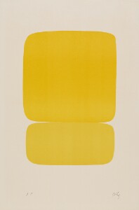 Yellow over Yellow (Jaune sur Jaune)