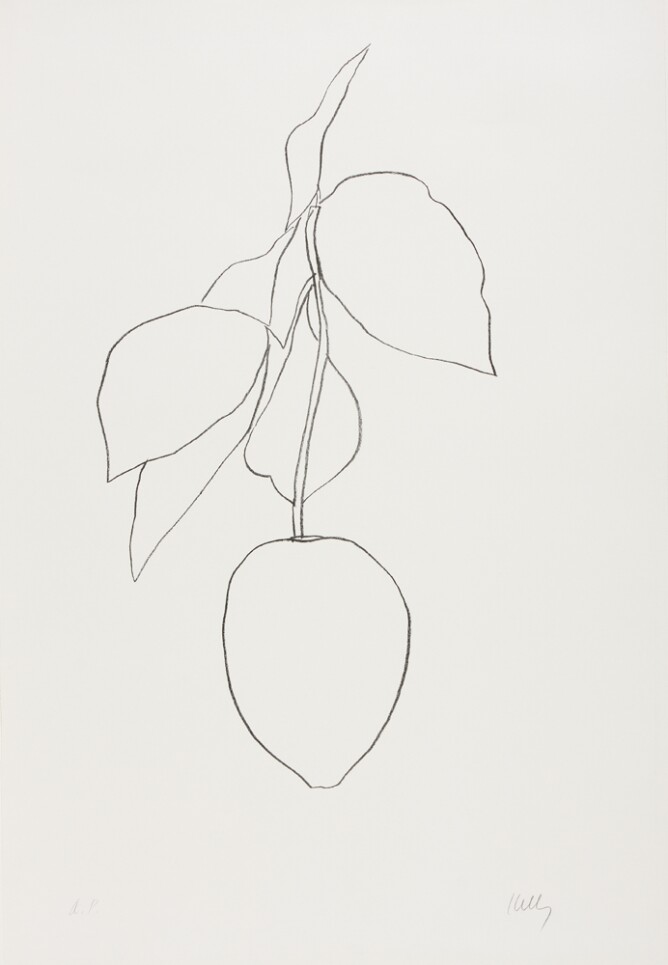 A black and white print of a citron hanging from a stem with a cluster of leaves, using minimal lines