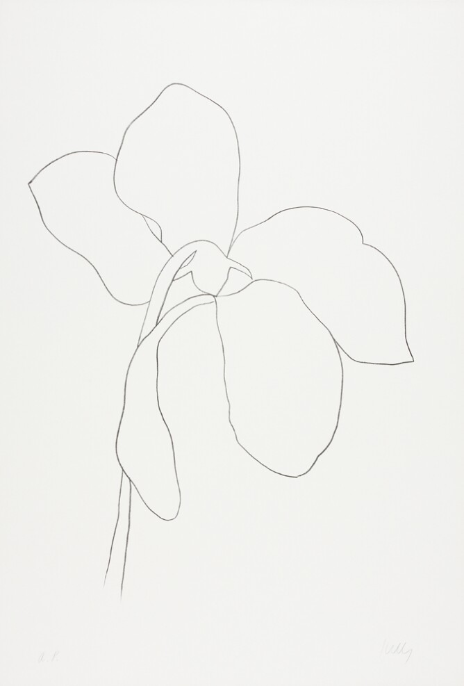 A black and white abstract print of a drooping flower with three petals pointing down and two pointing up, using minimal lines