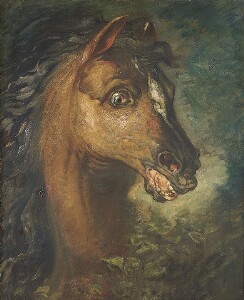 Head of a Horse