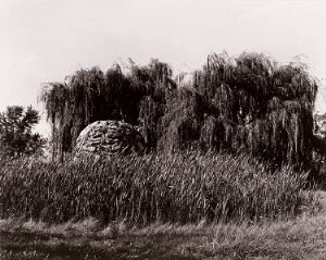 Untitled (Mysterious Landscape)