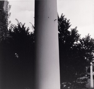 Column